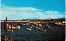 Monterey Bay Harbor Boats Red Aloe Unused 1960 CA  picture