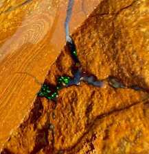 Green Flash Queensland Australian Boulder Opal Cut Nugget picture
