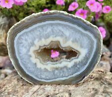 BEAUTIFUL BRAZILIAN AGATE DRUZZY /CUT BASE 14.5OZ,NATURAL COLOR DISPLAY AGATE picture
