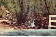 Cimarron Canyon Watering Log Taos Raton New Mexico Vtg Postcard CP316 picture