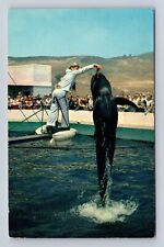 Palos Verdes CA-California, Marineland Of The Pacific, Antique Vintage Postcard picture