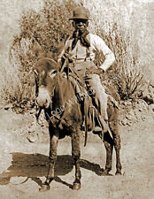 African American Cowboy on a Donkey Old Photo 8.5