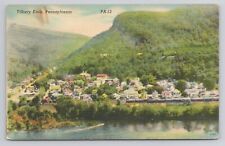 Tilbury Knob Pennsylvania Linen Postcard No 3780 picture