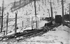 Railroad Train Avalanche Wellington Washington WA Reprint Postcard picture