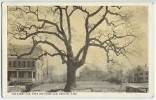 THE AVERY OAK OVER 300 YEARS OLD DEDHAM MASS postcard knocked down in 1972 picture