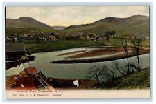 c1905 Holmes Dam And Houses Downsville New York NY Unposted Antique Postcard picture