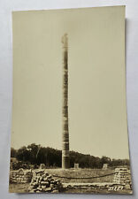 Vintage RPPC Postcard ~ Totem Pole Door County Peninsula State Park ~ Wisconsin picture