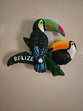 Belizean toucan  fridge magnets picture