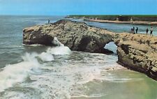 Santa Cruz CA California Beach Natural Bridges Park Fishing Vtg Postcard D54 picture