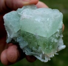 green Apophyllite w white Scolecite, minerals, crystals, mineral specimens picture