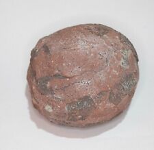 A lovely Hadrosaur Egg Fossil from the Cretaceous Age approx 4