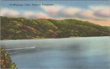 MR ALE ~ Watauga Lake, Eastern Tennessee TN c1930s Postcard 7103.4 picture