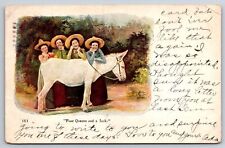 1910 Trinidad, Postcard-   FOUR QUEENS AND A JACK - Humor Funny picture