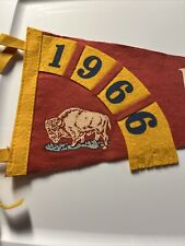 Vintage 1966 Pennant Flag Buffalo N.Y. picture