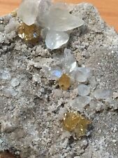 Superb Golden Sphalerite with Dogtooth Calcite, Niagara Quarry, Niagara, NY picture