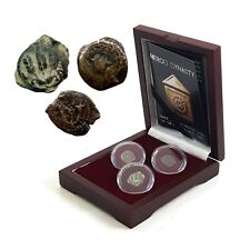 HEROD DYNASTY 3 Coin Box Set: Judaean Bronze Prutah Coins of Biblical Holy Land picture