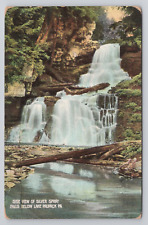 Side View Of Silver Spray Falls Below Lake Paupack Pennsylvania c1910 Postcard picture