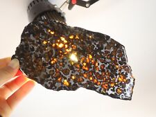 214g Slice meteorites, Rare slices of Kenyan Pallasite olive meteorite B2770 picture
