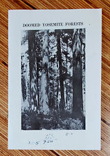 Doomed Yosemite Forest  pamphlet 1931 Sugar Pines National Park Service picture