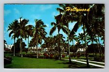 Hollywood FL-Florida, Scenic Palm Trees, Antique Vintage Souvenir Postcard picture