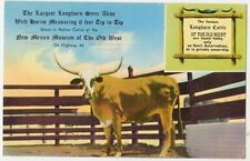 Moriarity NM New Mexico Museum Old West Largest Longhorn 1965 Vintage Postcard picture