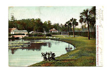 Jacksonville FL Florida Postcard Pond at Riverside Park c1907 picture