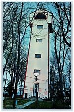 c1950 The Ivory Tower Tallest Cabin Northeastern Sisseton South Dakota Postcard picture