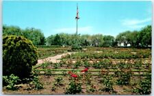 Postcard Rose Gardens Lakeview Park Lorain Ohio USA North America picture