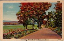 Vintage Linen Postcard: greetings from narrowsburg N. Y. -A33 picture