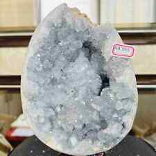 Natural Beautiful Blue Celestite Crystal Geode Cave Mineral Specimen Aura 4757G picture