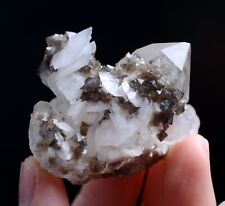 65g Natural Rare Scheelite & Crystal Calcite Mineral Specimen/Yaogangxian China picture