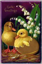 1913 Easter Greetings Chicks White Petaled Flower Greetings Card Posted Postcard picture