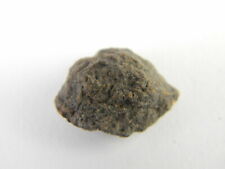 NWA Stony Iron Chondrite Meteorite Sahara Desert, Morocco 1.56 grams S37 picture