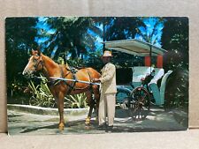 The Royal Victoria Hotel Nassau In The Bahamas Chrome Postcard 426 picture