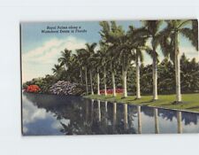 Postcard Royal Palms Along a Waterfront Estate in Florida USA picture