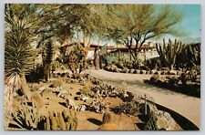 Ghost Ranch Lodge World Famous Cactus Garden Tucson Arizona Vintage Postcard picture