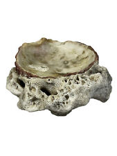 Vintage Seashell Naturally Fused Barnacle Catchall Ashtray Handmade Trinket RARE picture