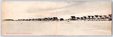 Pre-1907 GREEN HARBOR MA PANORAMA BEACH COTTAGES LONG FOLDING MAIL CARD POSTCARD picture