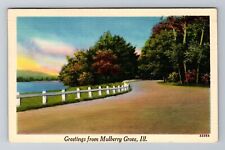 Mulberry Grove, IL-Illinois, Scenic Greetings, Roadway c1943, Vintage Postcard picture