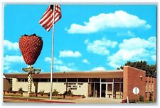 c1950's Strawberry Point Town Hall & Library Strawberry Point Iowa IA Postcard picture