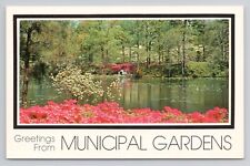 Greetings From Municipal Gardens Chrome Postcard 1216 picture