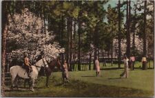 1952 PINEHURST RESORT NC Postcard Golf / Horses 
