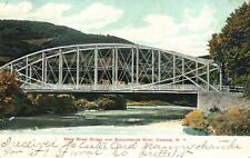 Vintage Postcard 1907 Main Street Bridge Over Susquehanna River Oneonta New York picture