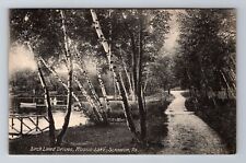 Scranton PA-Pennsylvania, Moosic Lake Birch Lined Drive, c1908 Vintage Postcard picture