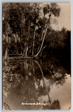 c1930s RPPC Homosassa Springs Florida lake Palm Tree Antique Postcard picture