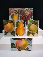 ANTIQUE VTG EDWARD MITCHELL SAN FRAN. CALIFORNIA EXAGGERATED FRUIT POSTCARDS - 9 picture