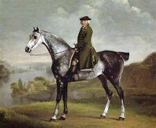Dream-art Oil painting Joseph-Smythe-Esquire-George-Stubbs-oil-painting horseman picture