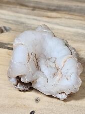 Natural White Chalcedony Rough Crystal Specimen 121g T153 picture