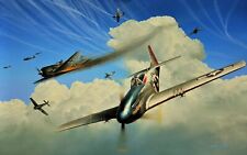Masters of the Sky by Richard Taylor signed by two 352nd Fighter Group veterans picture
