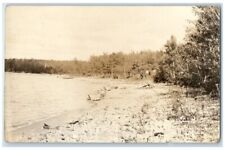c1930's Big Bear Lake Canoe View Johannesburg MI RPPC Photo Unposted Postcard picture